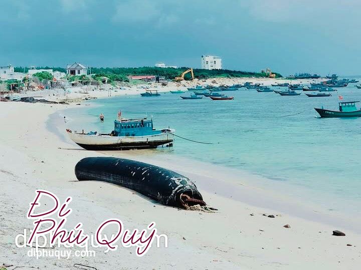 Bãi sau đang được kè, Tấn Lợi Phú Quý