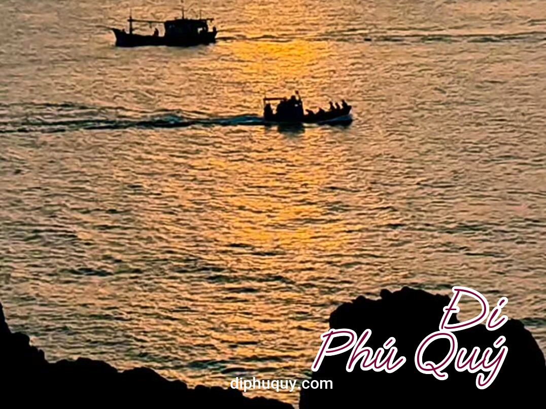 Bình minh hôm nay, Tấn Lợi Phú Quý