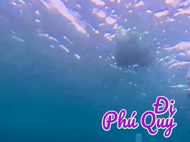 Cả nhà ơi cho mình hỏi nghiêm túc: ngoài bơi Bướm, Chó, Ếch ra thì kiểu này gọi là, Tấn Lợi Phú Quý