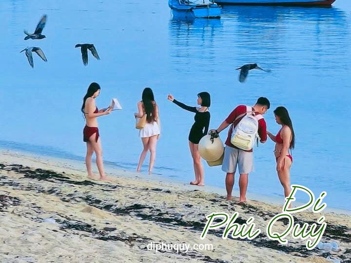 Cần gì đi tận trời Tây, nhiêu đây cũng đủ làm say lòng người, Tấn Lợi Phú Quý
