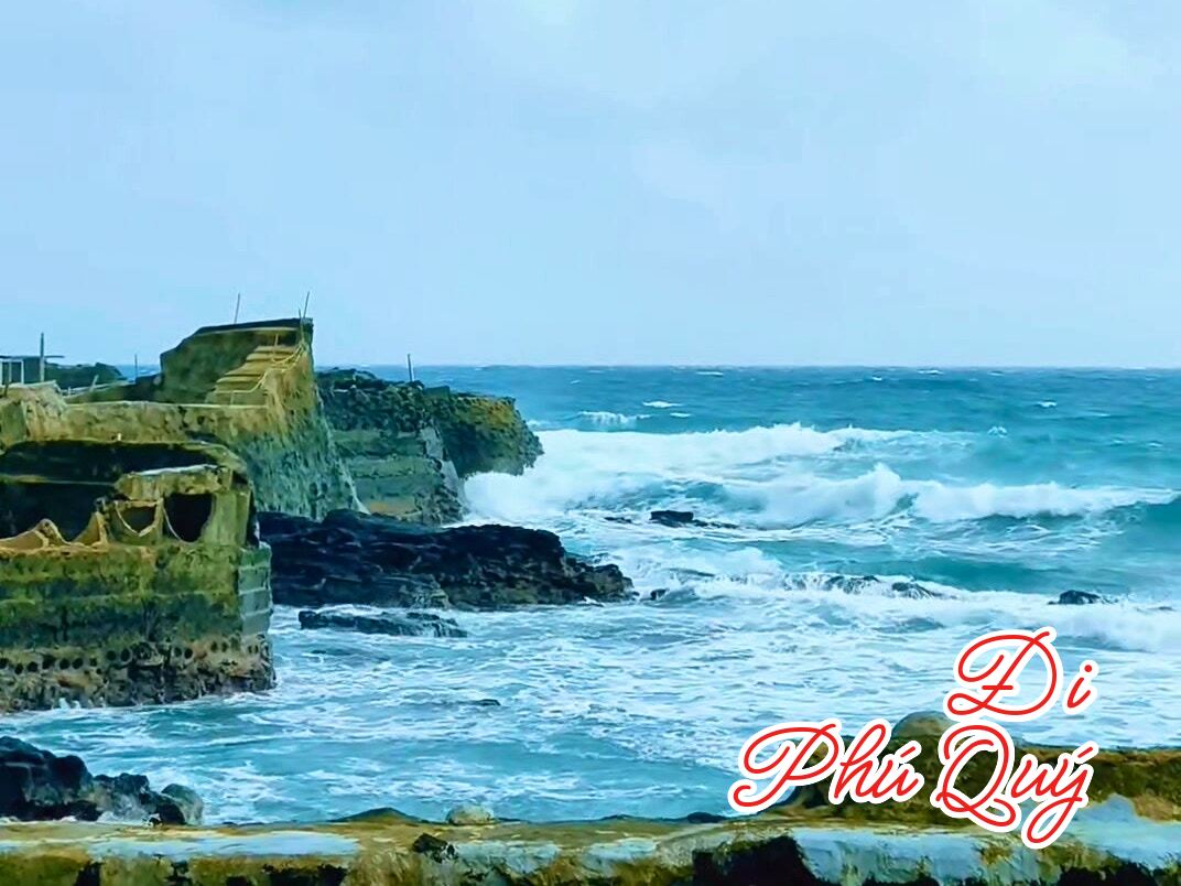 Cần vitamin sea liều cao? Ra Phú Quý liền, Tấn Lợi Phú Quý