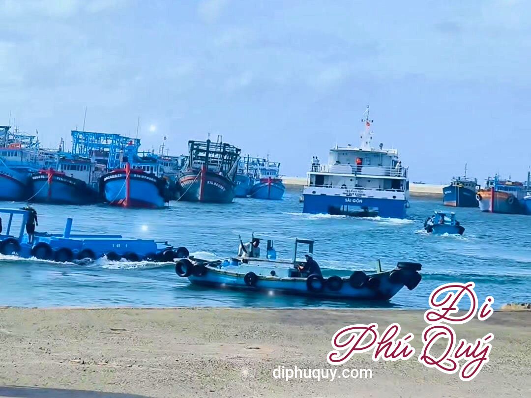 Cập nhật lịch tàu Phú Quý Express tháng 02/2026, Tấn Lợi Phú Quý