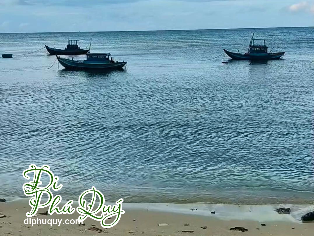 Cập nhật thời tiết đảo Phú Quý lúc này. Đang ngồi chiu chiu ngó về sau cái giật mình, Tấn Lợi Phú Quý