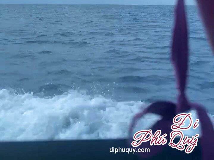 Cập nhật thực tiễn thời tiết hôm nay tàu đi từ Phú Quý vào Phan Thiết, Tấn Lợi Phú Quý