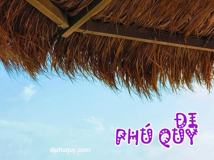 CHẤN KHA THÔNG BÁO ĐIỀU CHỈNH GIỜ TÀU, Tấn Lợi Phú Quý