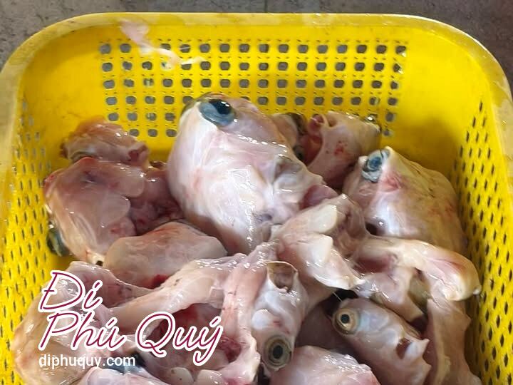 Đây là con cá nóc gai sau khi đã được làm sạch hoàn toàn. Nhiều người nghĩ phần thịt, Tấn Lợi Phú Quý