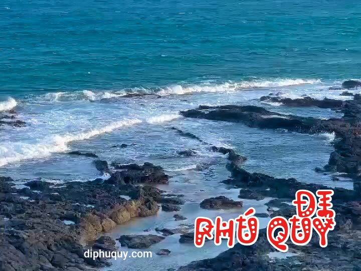 ĐI PHÚ QUÝ MÀ KHÔNG CÓ LỊCH TRÌNH THÌ SAO?, Tấn Lợi Phú Quý