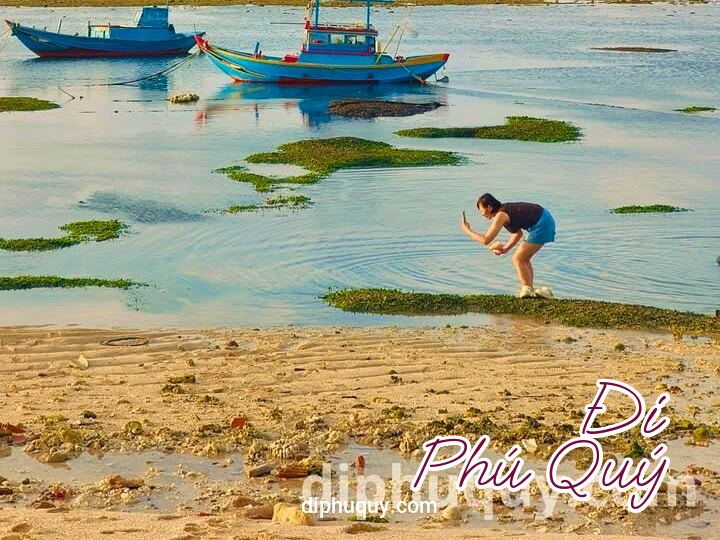 Đừng chỉ ngắm Phú Quý khi sóng vỗ xô bờ, Tấn Lợi Phú Quý