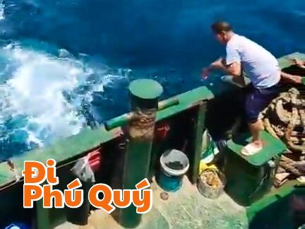 Kéo cá gần Phú Quý, kéo luôn cả ký ức trở về, Tấn Lợi Phú Quý