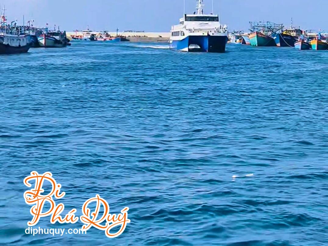 Lịch tàu Phú Quý Express tháng 03 có thay đổi, Tấn Lợi Phú Quý