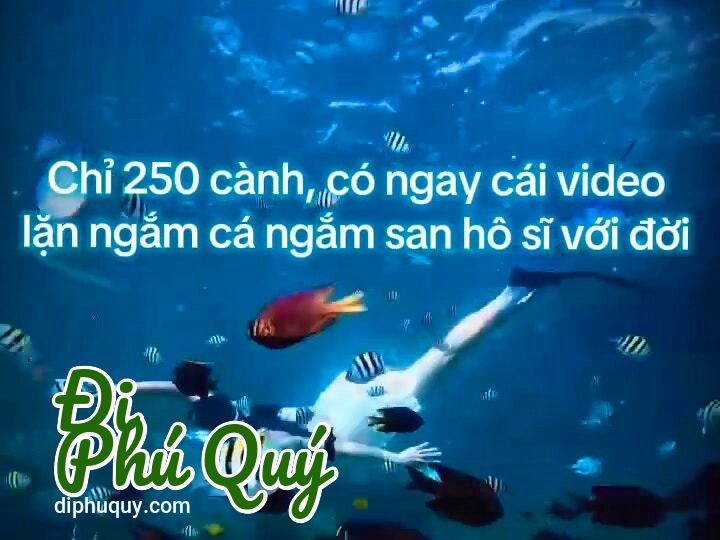 Mới quay cho khách hôm qua, Đi Phú Quý