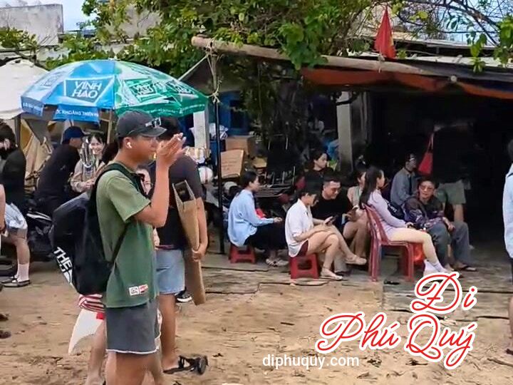 Nay dẫn khách đi lặn, tiện cập nhật cho cả nhà luôn, Tấn Lợi Phú Quý