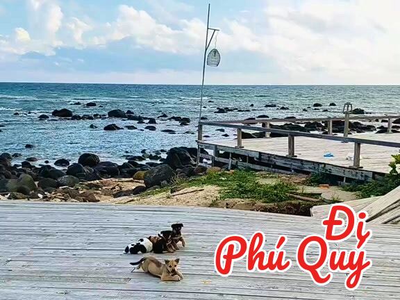 Nhà không giàu, chỉ được cái đông dân, Tấn Lợi Phú Quý