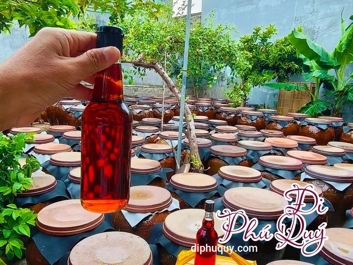 Nước Mắm Sạch Đảo Phú Quý  Gói Ghém Vị Biển Trong Từng Giọt Nồng, Tấn Lợi Phú Quý