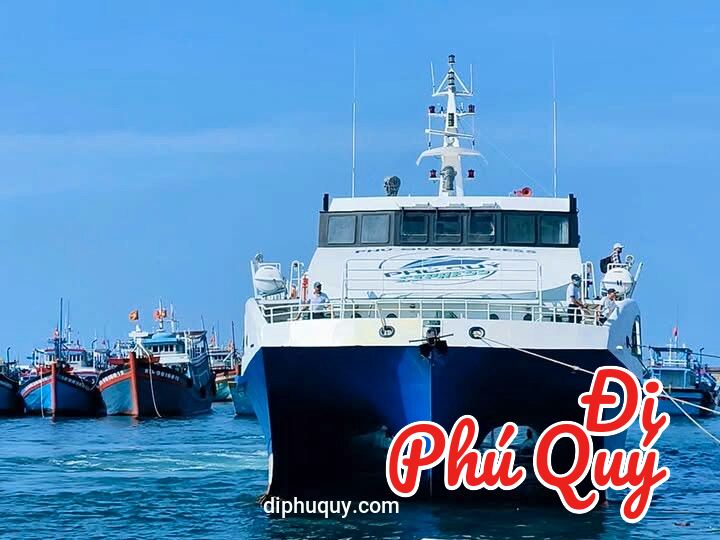 TẠM NGƯNG VẬN HÀNH TÀU PHÚ QUÝ EXPRESS, Tấn Lợi Phú Quý