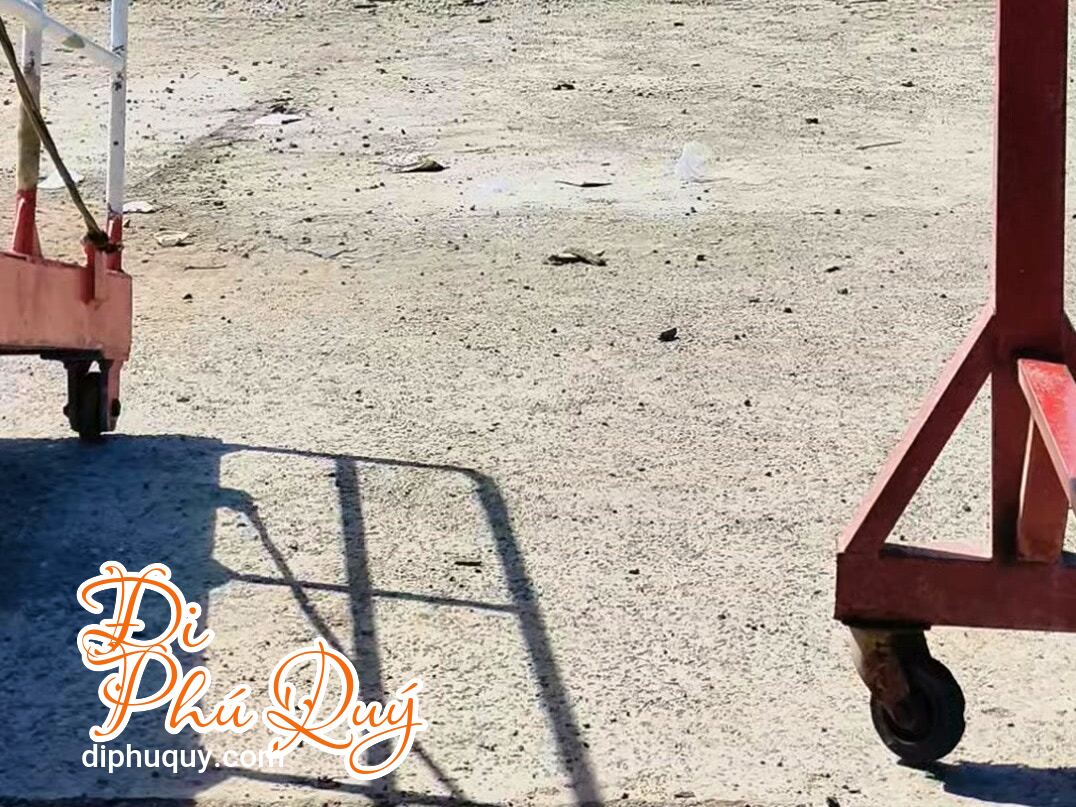 Tàu Superdong cập nhật lịch tàu tháng 03/2026, Tấn Lợi Phú Quý