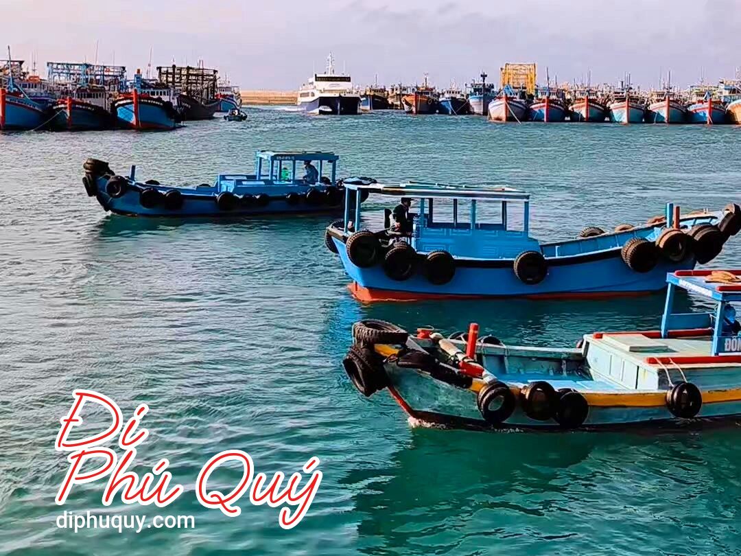 Tàu về quê hương, Tấn Lợi Phú Quý