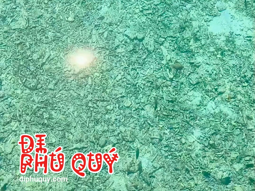 Thấy giiì chưa? Thấy gì chưa?, Tấn Lợi Phú Quý