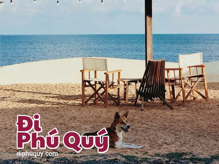 THÔNG BÁO ĐỔI LỊCH TÀU SUPERDONG, Tấn Lợi Phú Quý