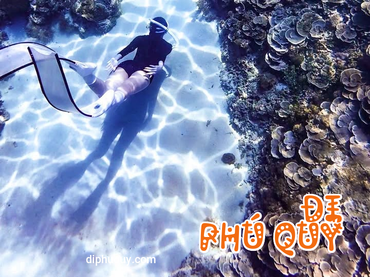 THÔNG BÁO KHẨN: TẠM NGƯNG HOẠT ĐỘNG LẶN BIỂN VUI CHƠI DƯỚI NƯỚC (20/4 - 21/4), Tấn Lợi Phú Quý