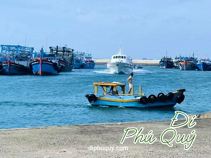 THÔNG BÁO TÀU SUPERDONG  NGÀY 10/02, Tấn Lợi Phú Quý