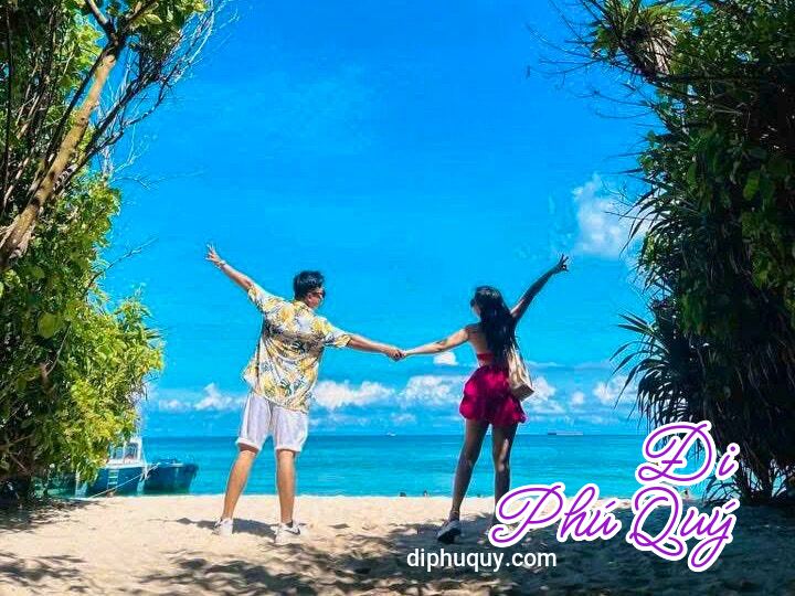Tour Tham Quan Hòn Tranh Hoạt Động Trở Lại, Tấn Lợi Phú Quý