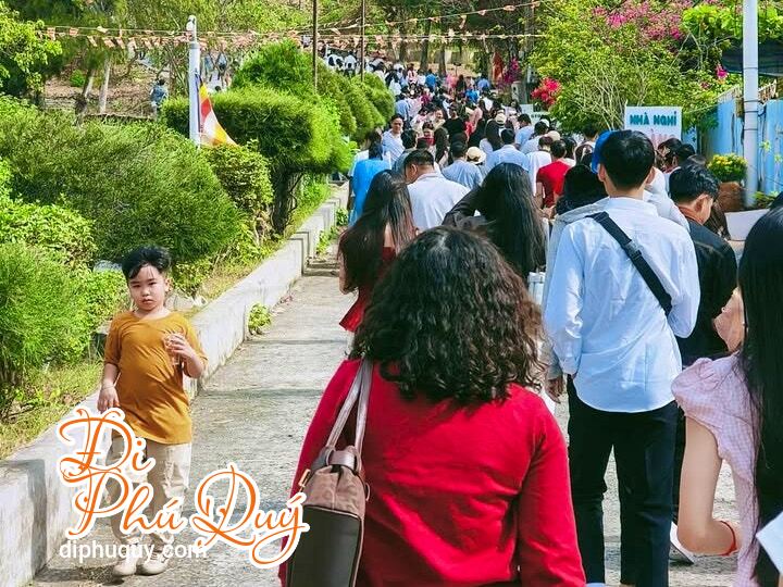 Update nhanh:, Tấn Lợi Phú Quý