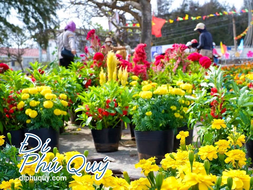 Vậy là tới tháng Chạp rồi đó, Tấn Lợi Phú Quý