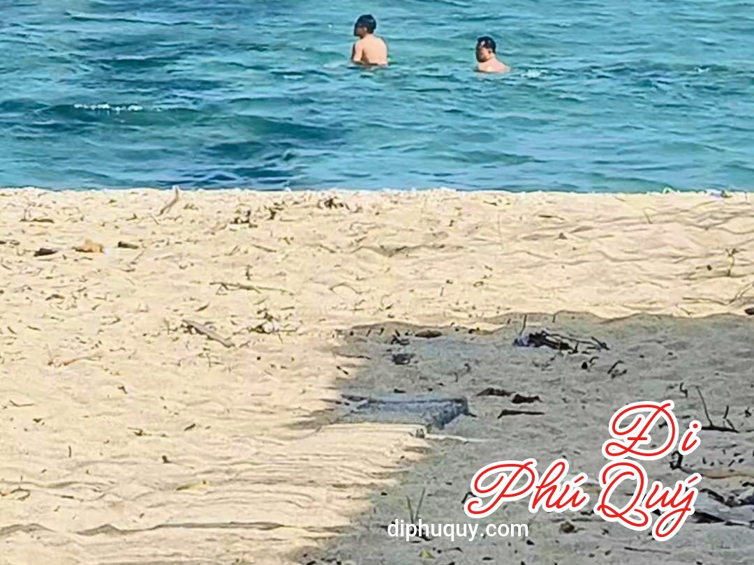 Vitamin Sea này hơi bị chất lượng, Tấn Lợi Phú Quý